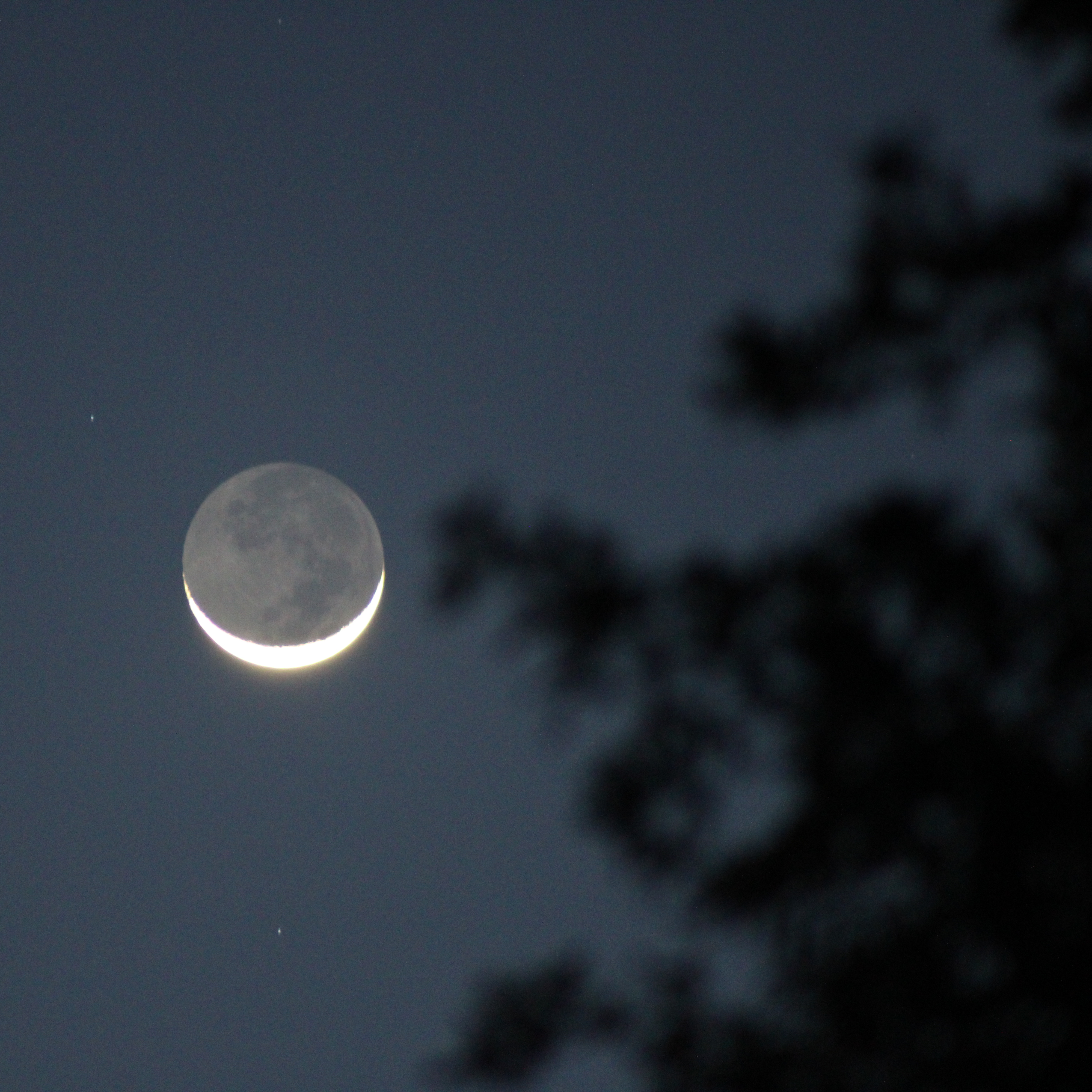 Stargazing Hike (New Moon): Red-Tailed Trail - logo